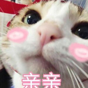 电影来5566黑夜763的背景故事
