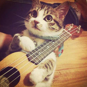 电影来5566黑夜763的背景故事
